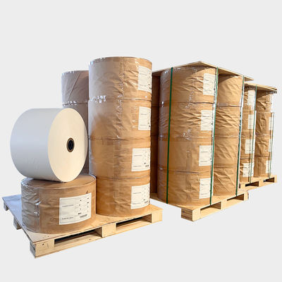 Αδιάβροχο μη λευκό χαρτί μαγειρέματος Jumbo Roll για χάρτη περγαμηνής