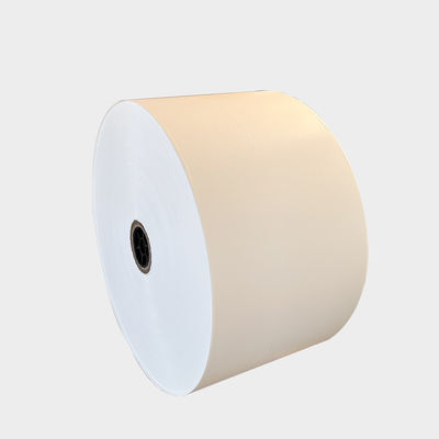 Αδιάβροχο μη λευκό χαρτί μαγειρέματος Jumbo Roll για χάρτη περγαμηνής